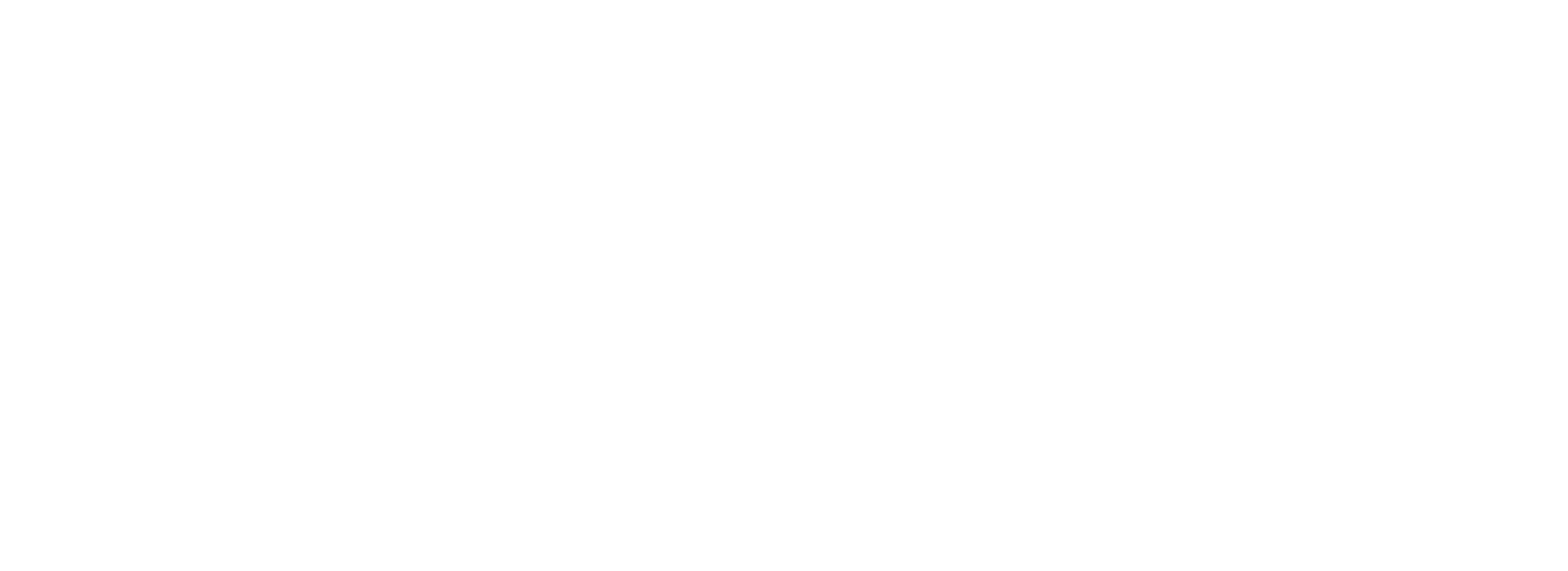 Navi-logo-white